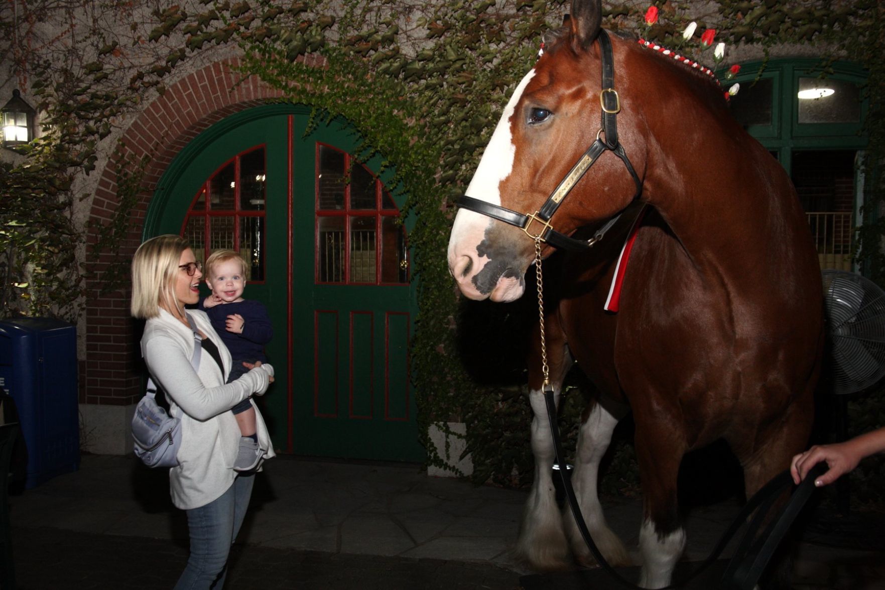 Jessica Woldman with Henry Woldman and Evan the Clydesdale